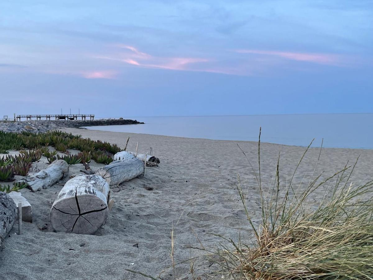 Ferienhaus In Residence Naturiste Direkt Am Strand Leucate Bagian luar foto
